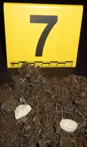 DSCN0283